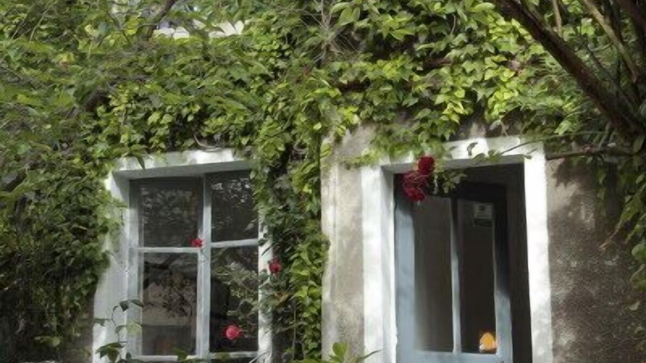 Photo of Outdoor in Saint-Louis