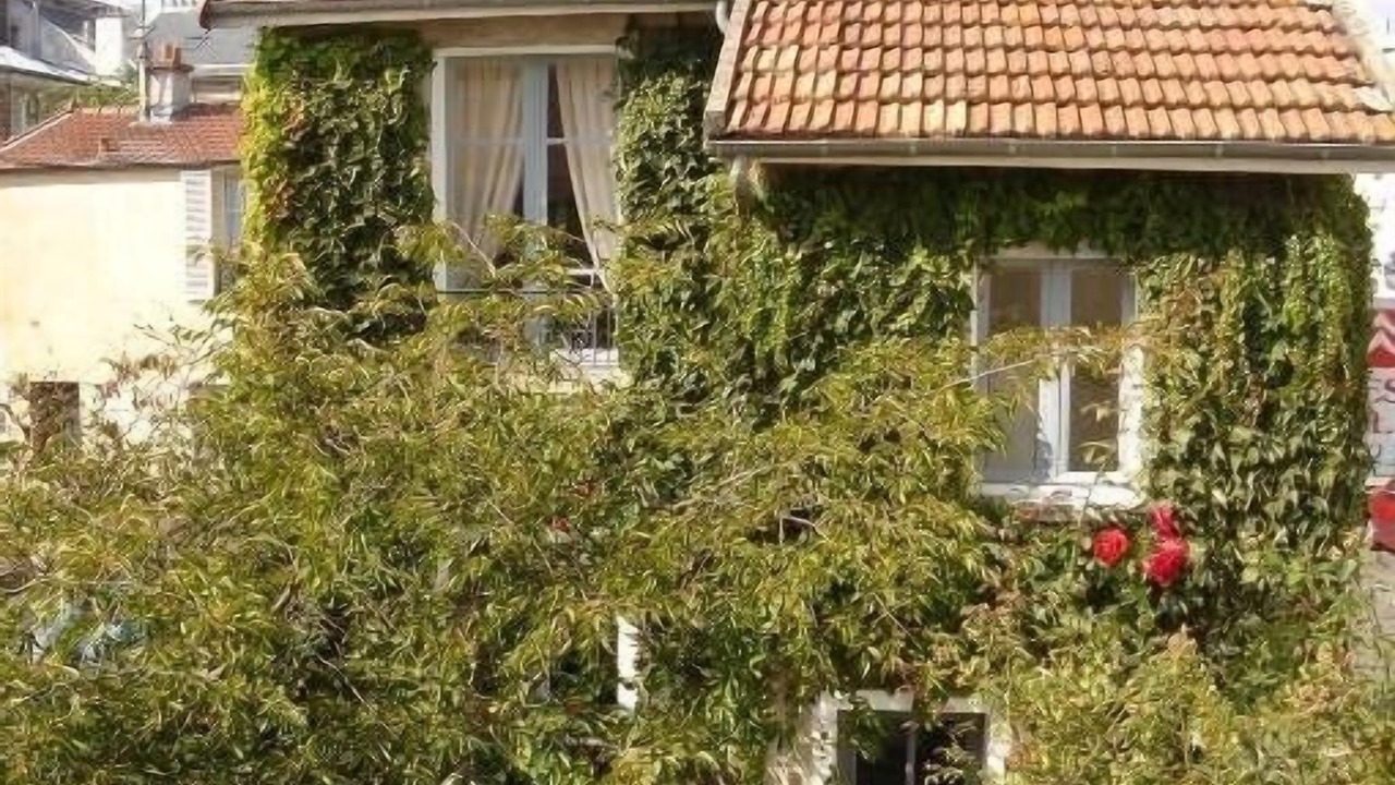 Photo of Outdoor in Saint-Louis