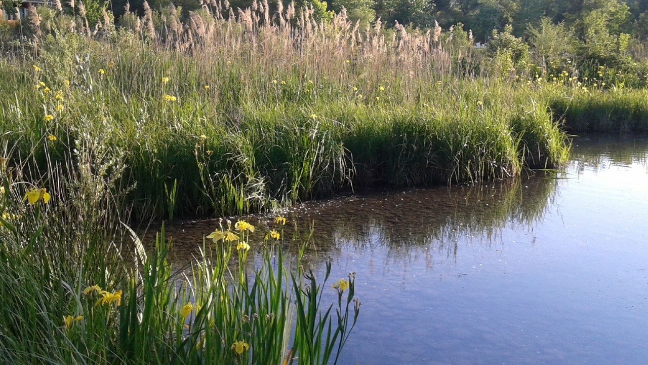 Photo of Outdoor in Greoux-les-Bains