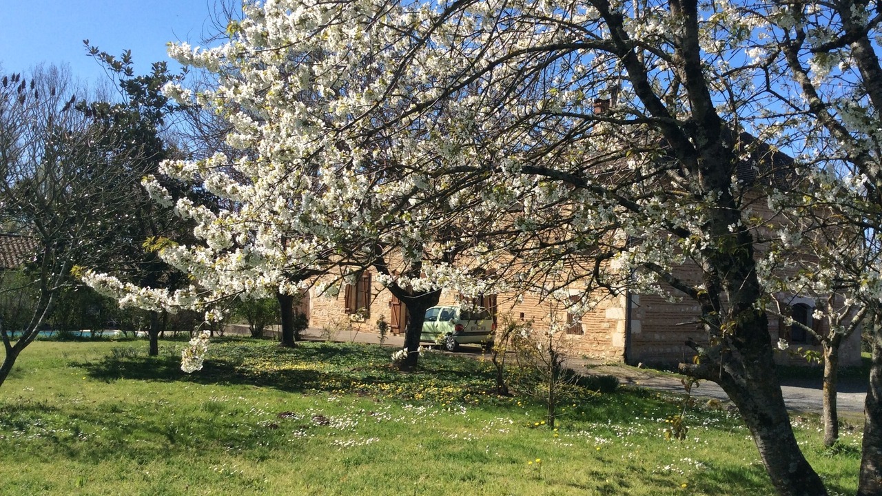 Photo of Outdoor in Sainte-Livrade-sur-Lot