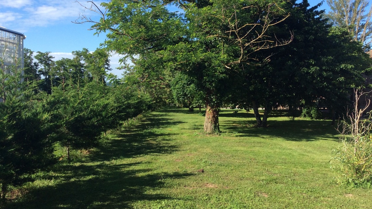 Photo of Outdoor in Sainte-Livrade-sur-Lot
