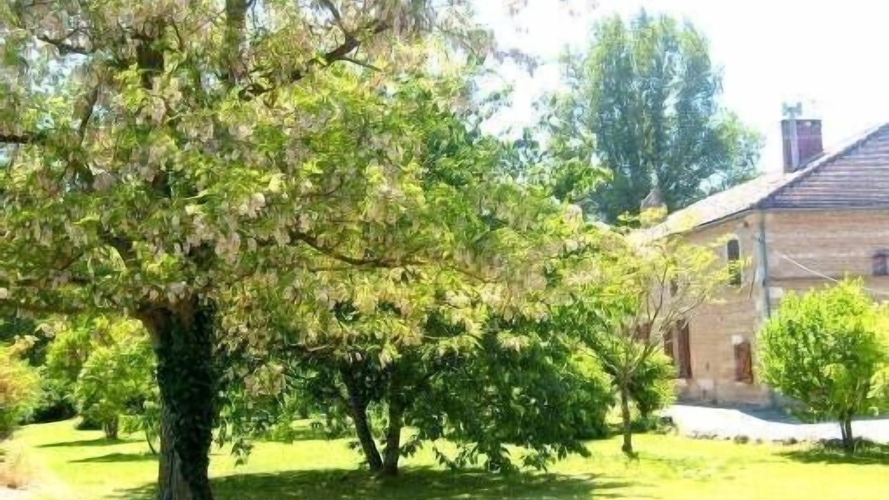 Photo of Outdoor in Sainte-Livrade-sur-Lot