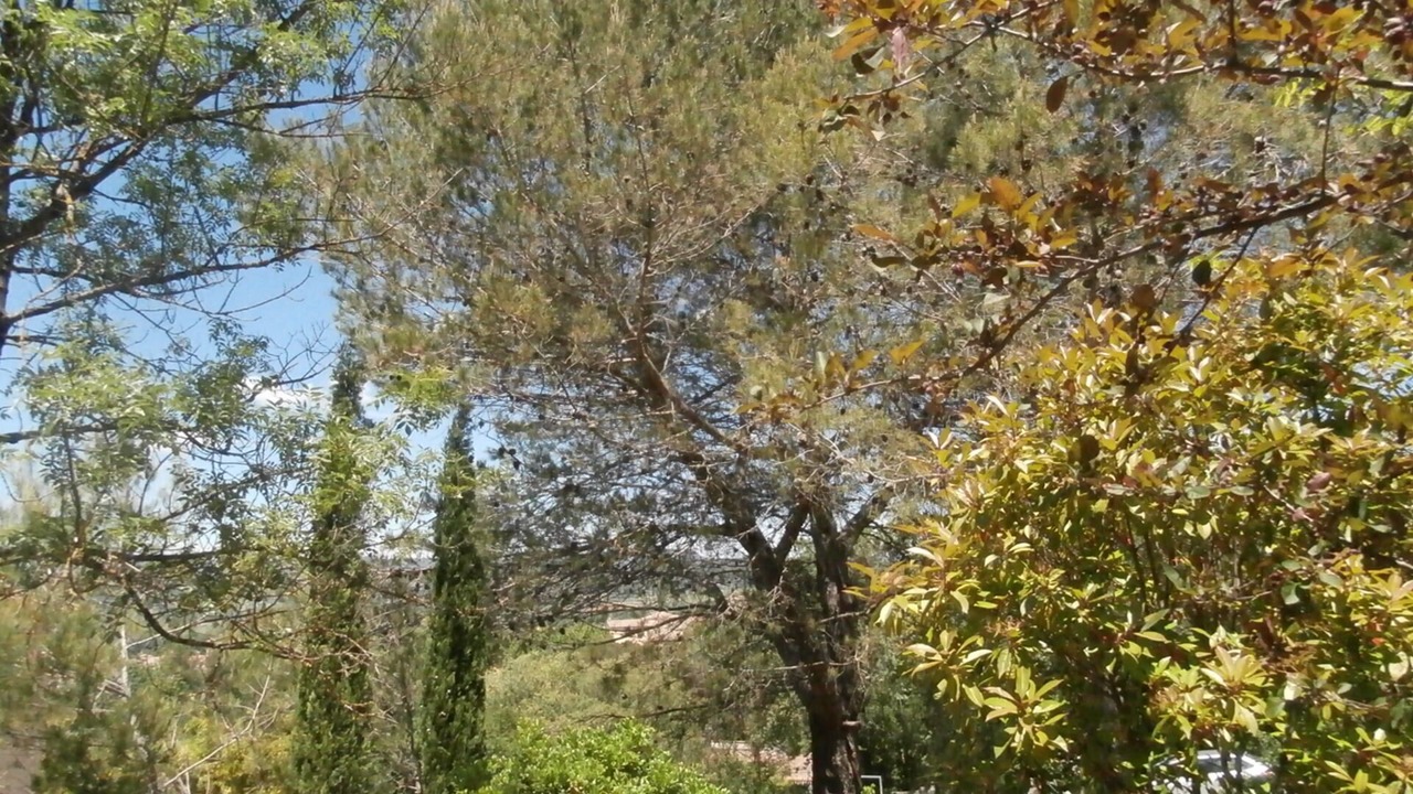 Photo of Outdoor in Aniane