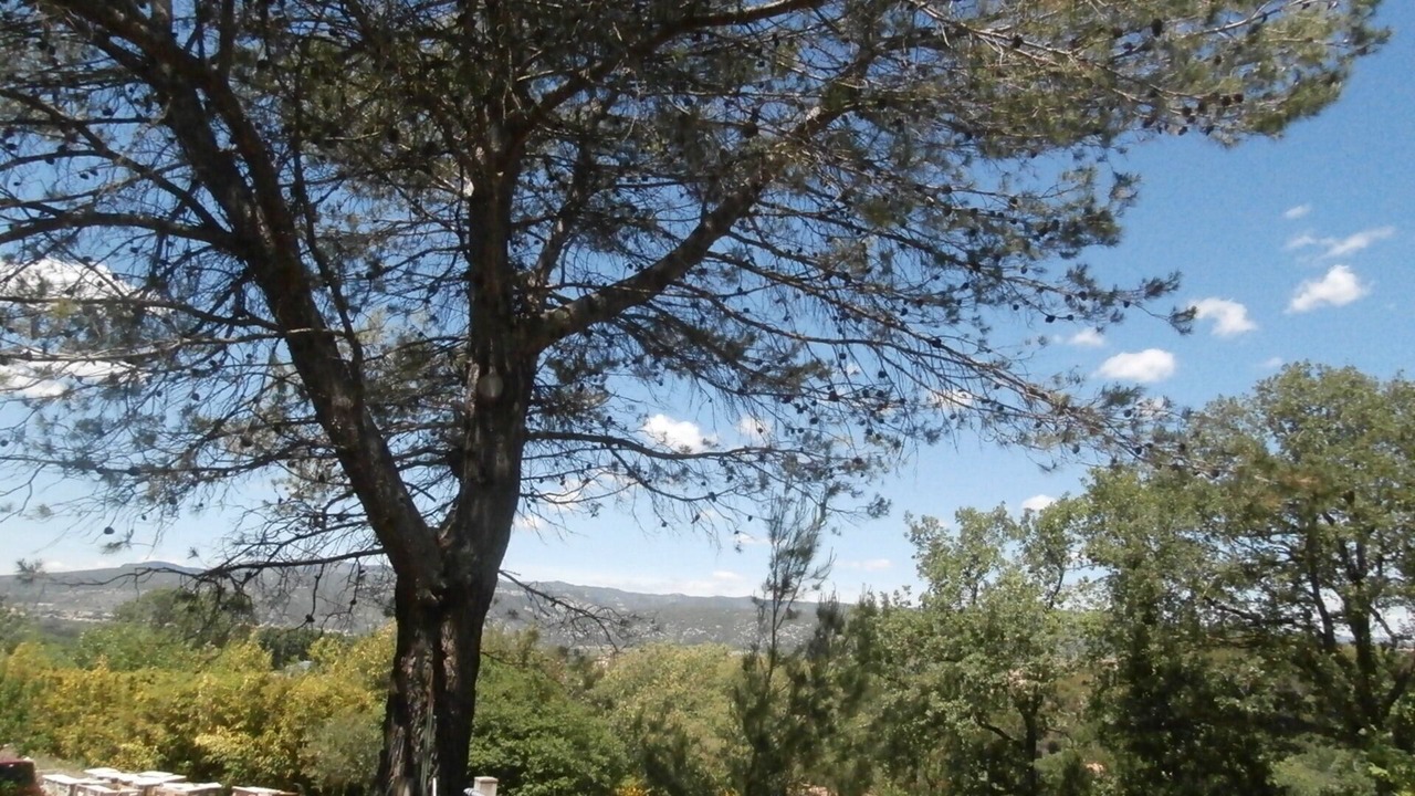Photo of Outdoor in Aniane