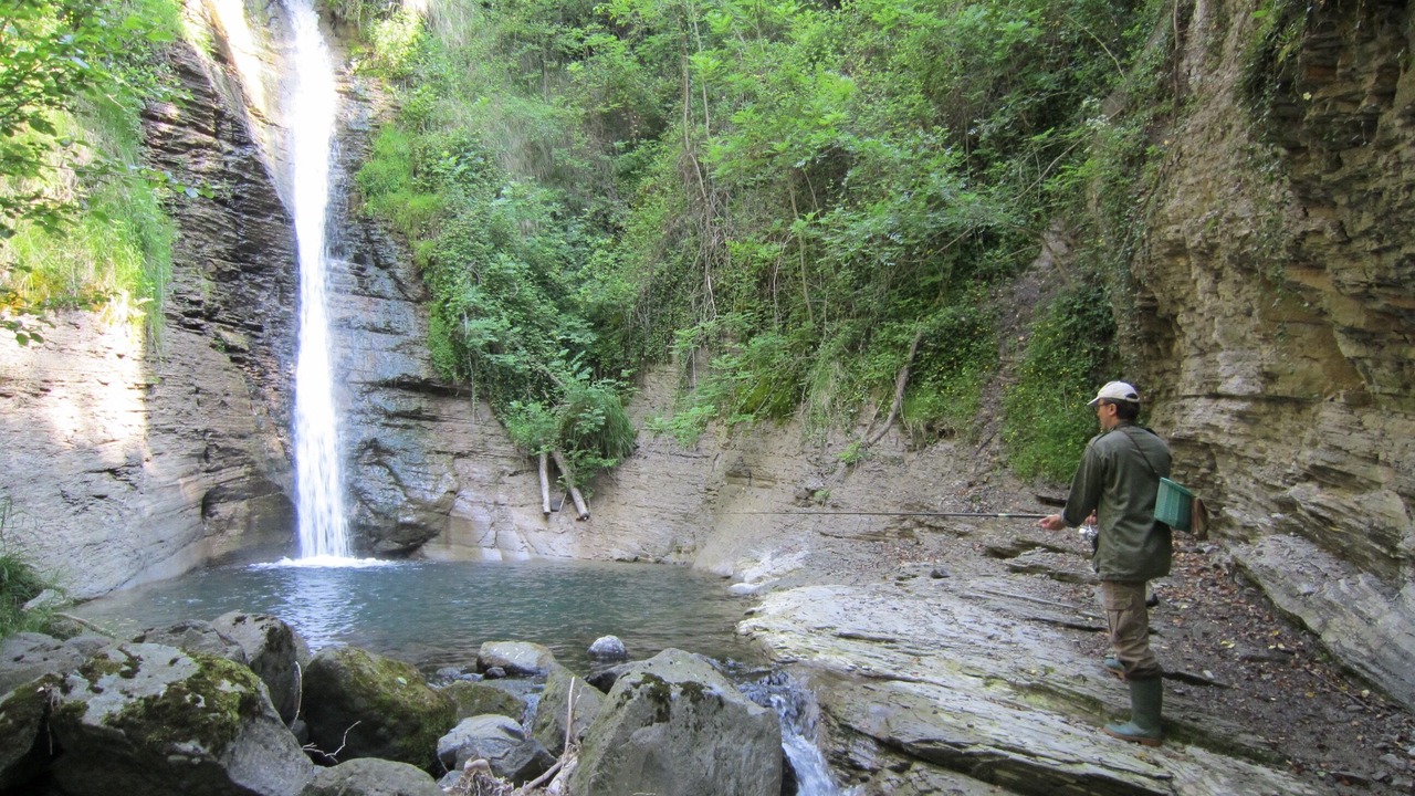 Photo of Outdoor in Darbres