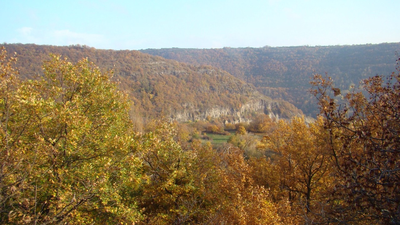 Photo of Outdoor in Darbres