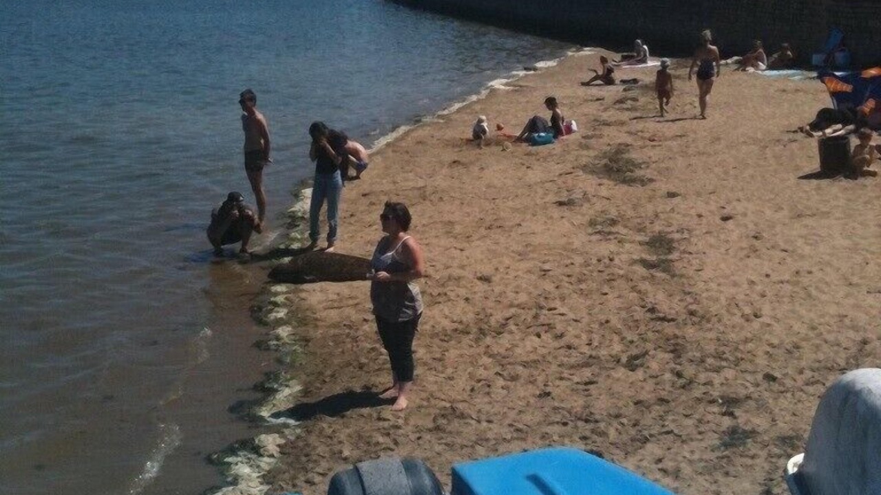 Photo of Others in La Vicomte-sur-Rance