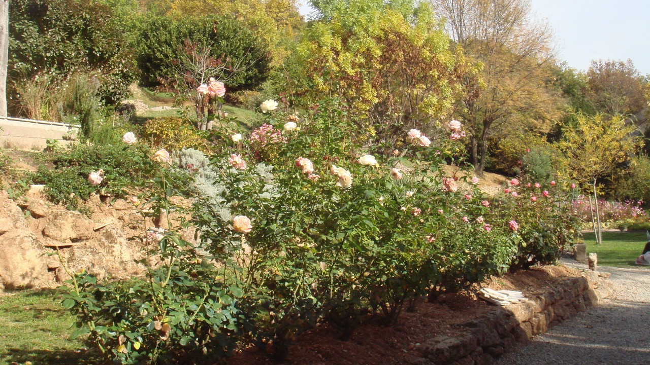 Photo of Outdoor in Fozieres