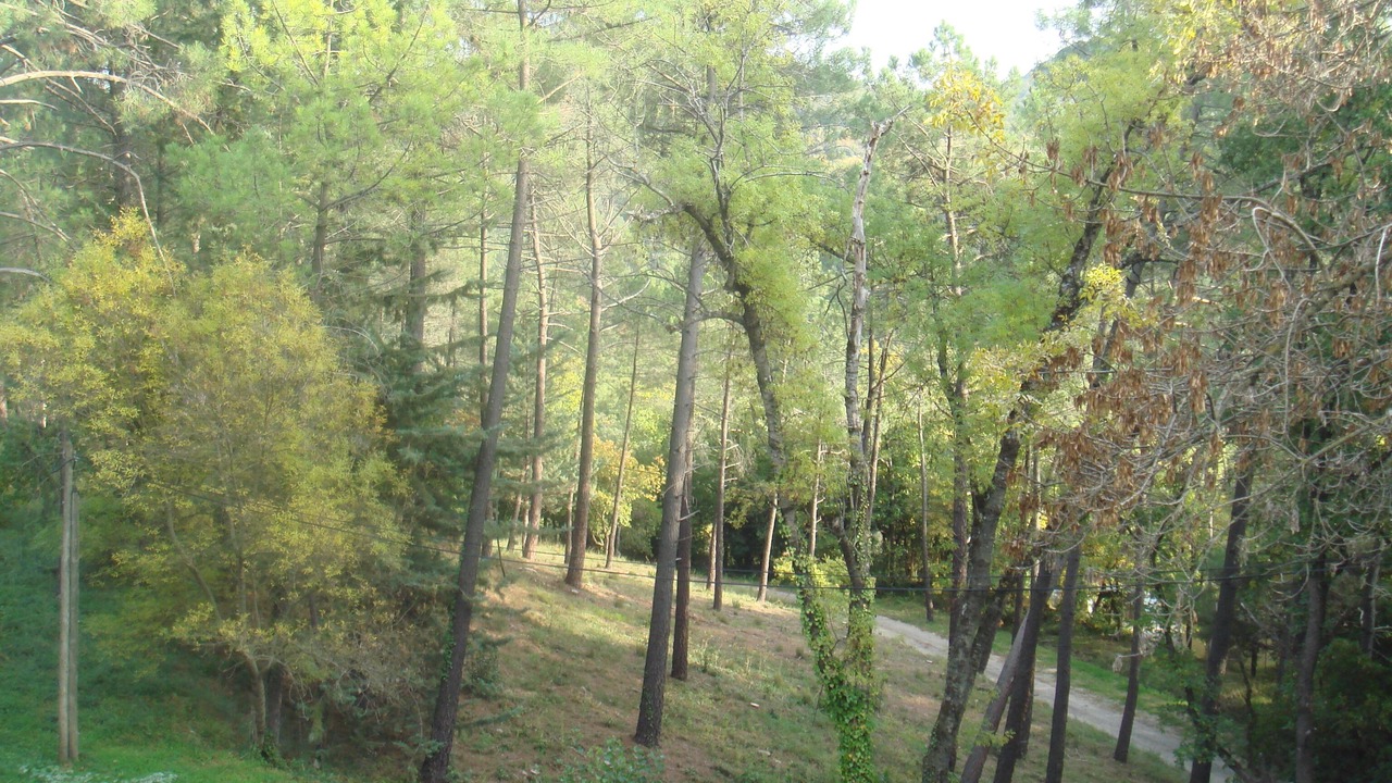 Photo of Outdoor in Fozieres