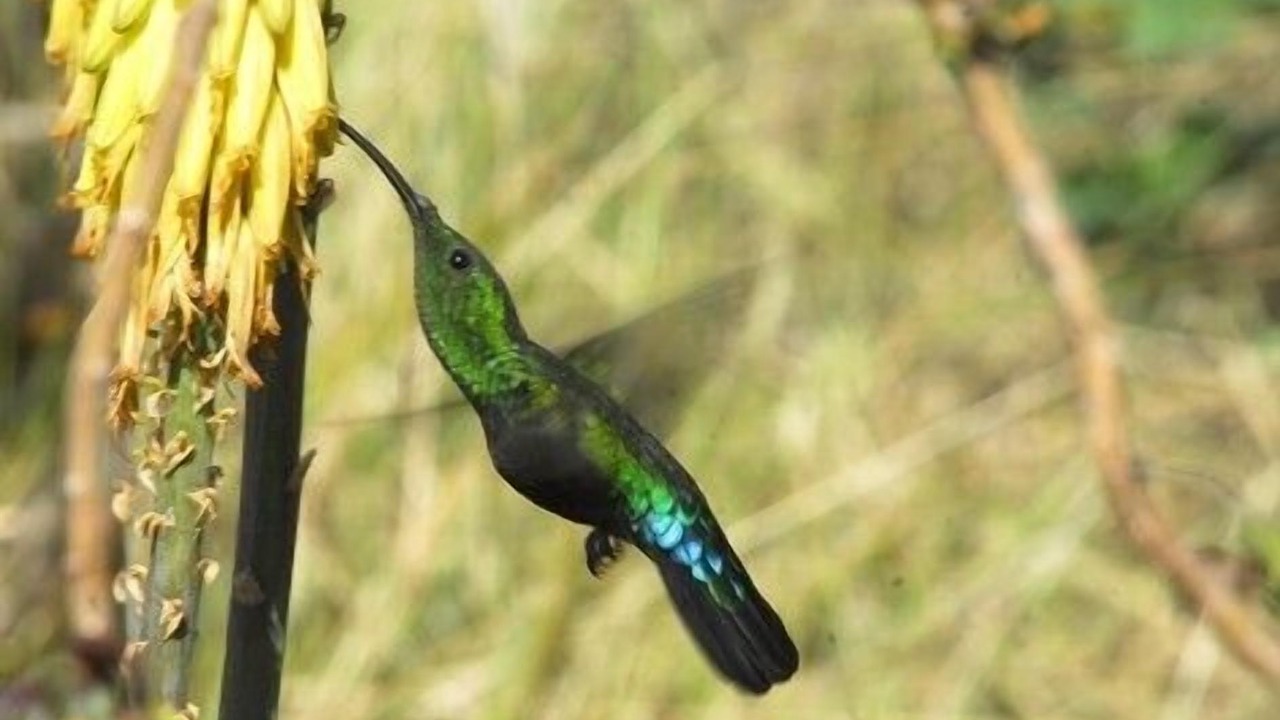 Photo of Outdoor in Orient Bay