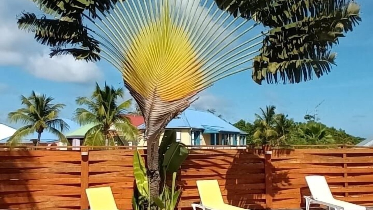 Photo of Outdoor in Orient Bay