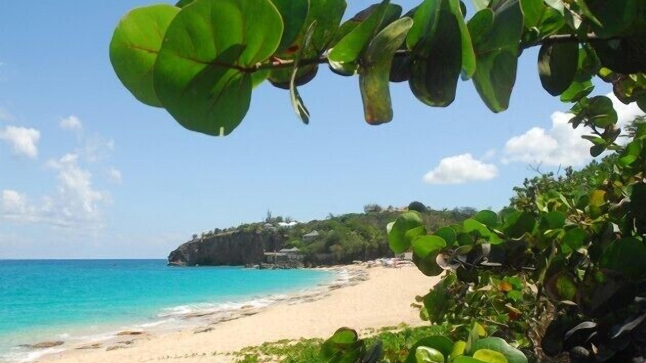 Photo of Others in Orient Bay