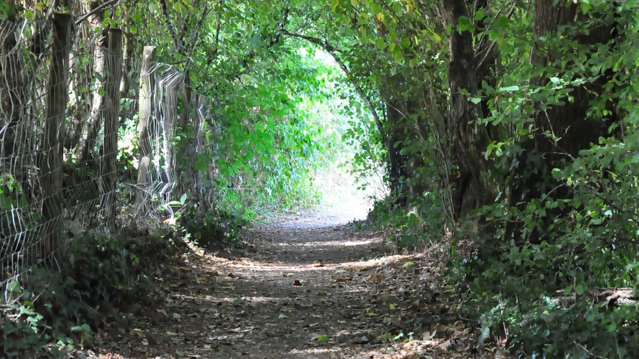 Photo of Outdoor in Sevremoine