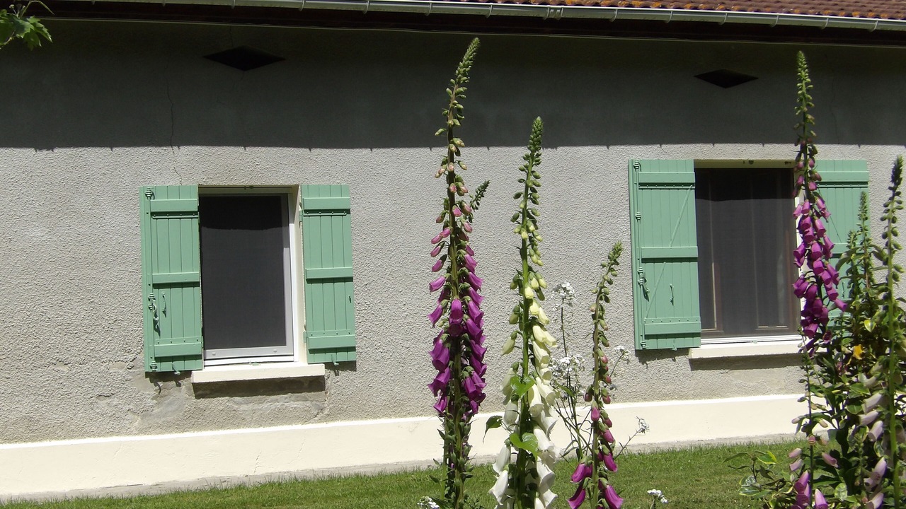 Photo of Outdoor in Lavazan