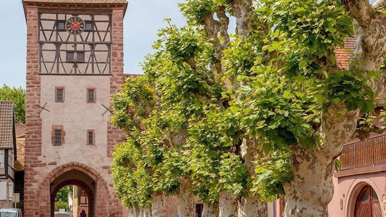 Photo of Outdoor in Bergheim