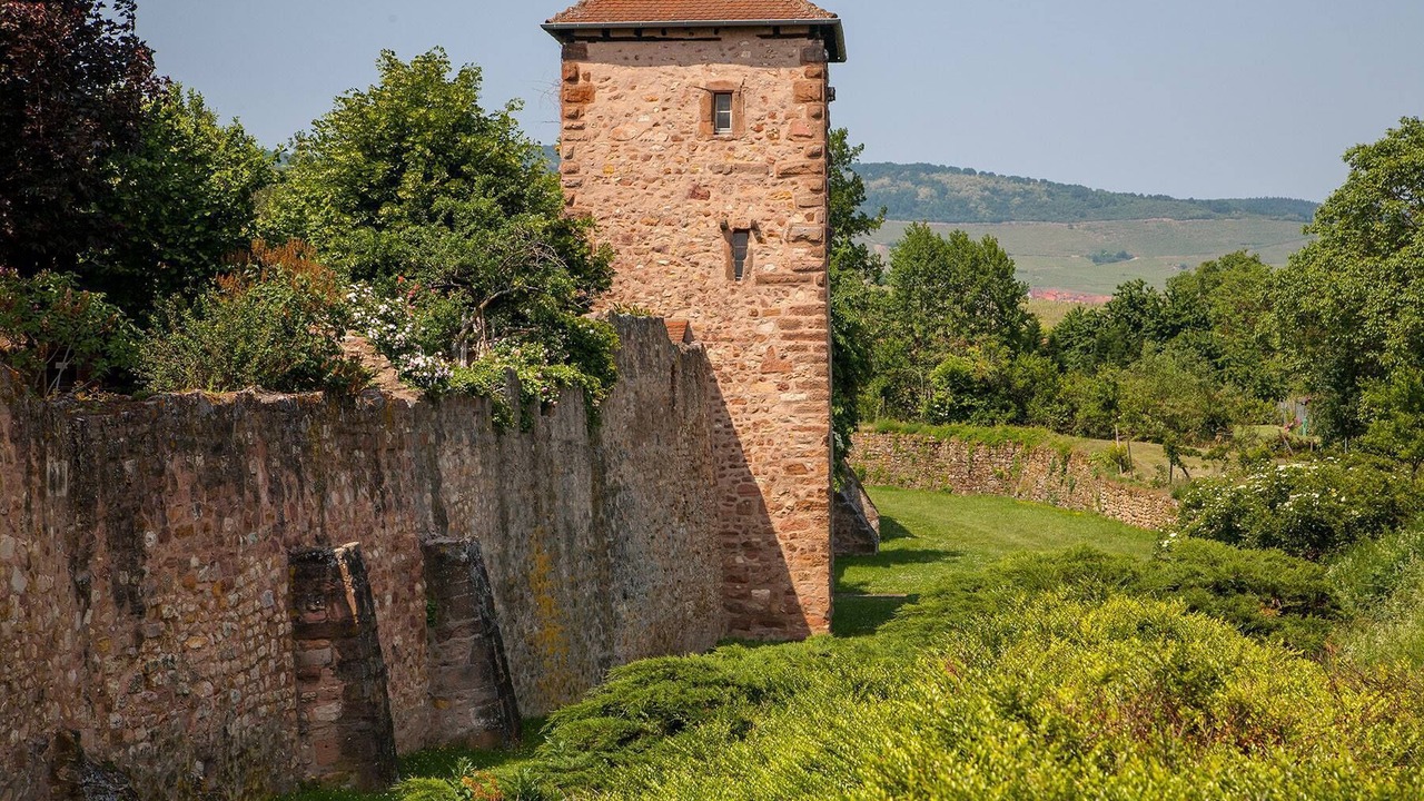 Photo of Outdoor in Bergheim
