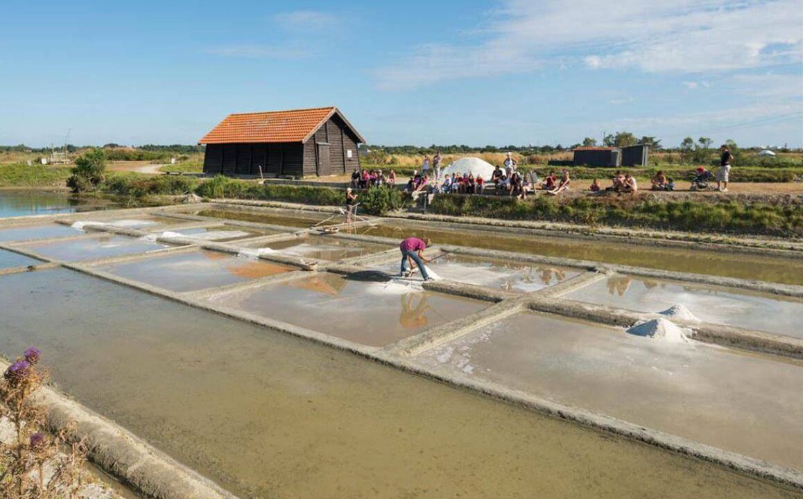Photo of Bedroom in Mouilleron-le-Captif