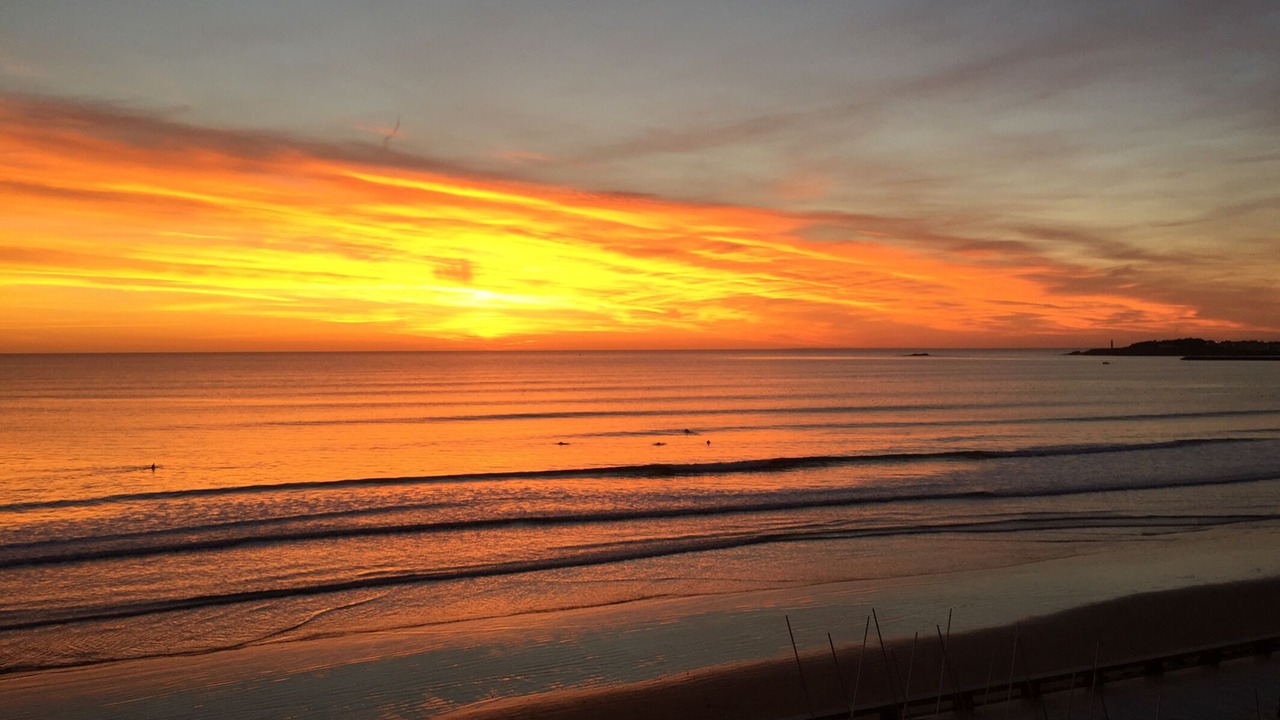 Photo of Others in Mouilleron-le-Captif