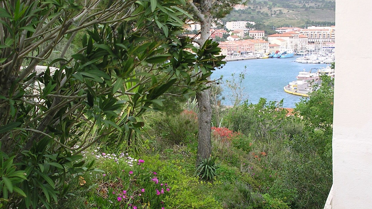 Photo of Outdoor in Port-Vendres