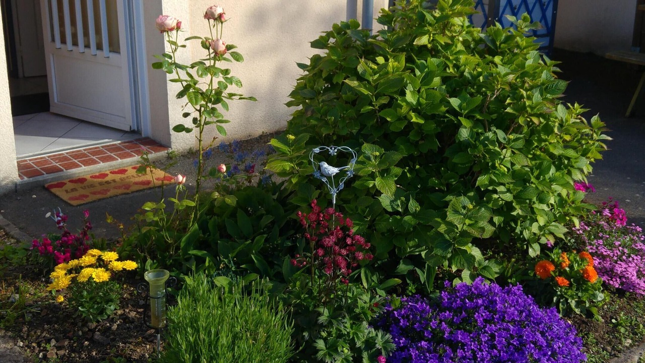 Photo of Outdoor in Lion-sur-Mer