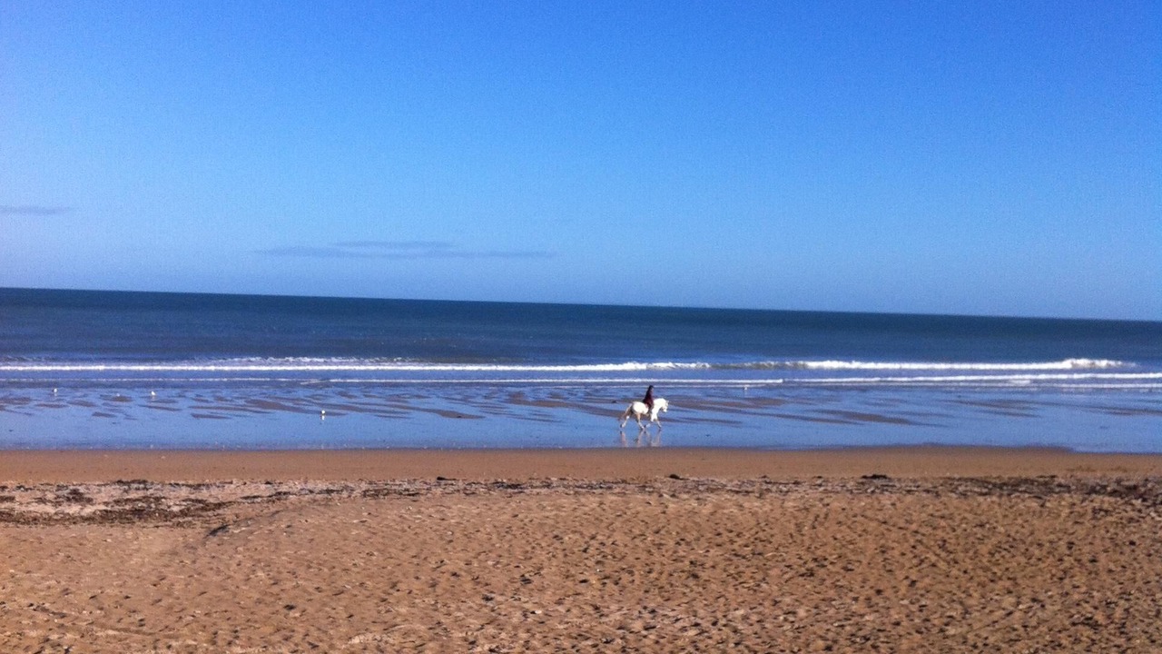 Photo of Others in Lion-sur-Mer