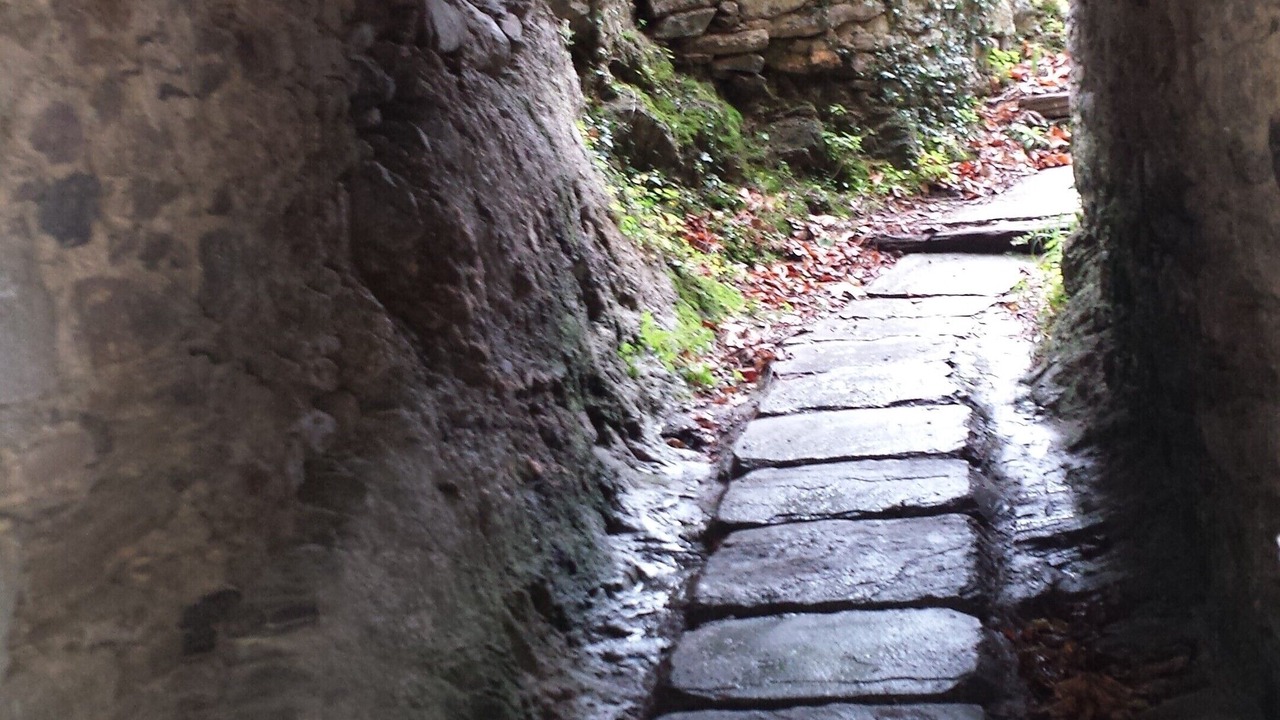 Photo of Outdoor in Carcheto-Brustico