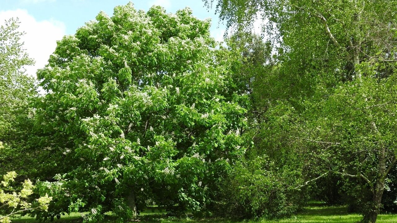 Photo of Outdoor in Avrille
