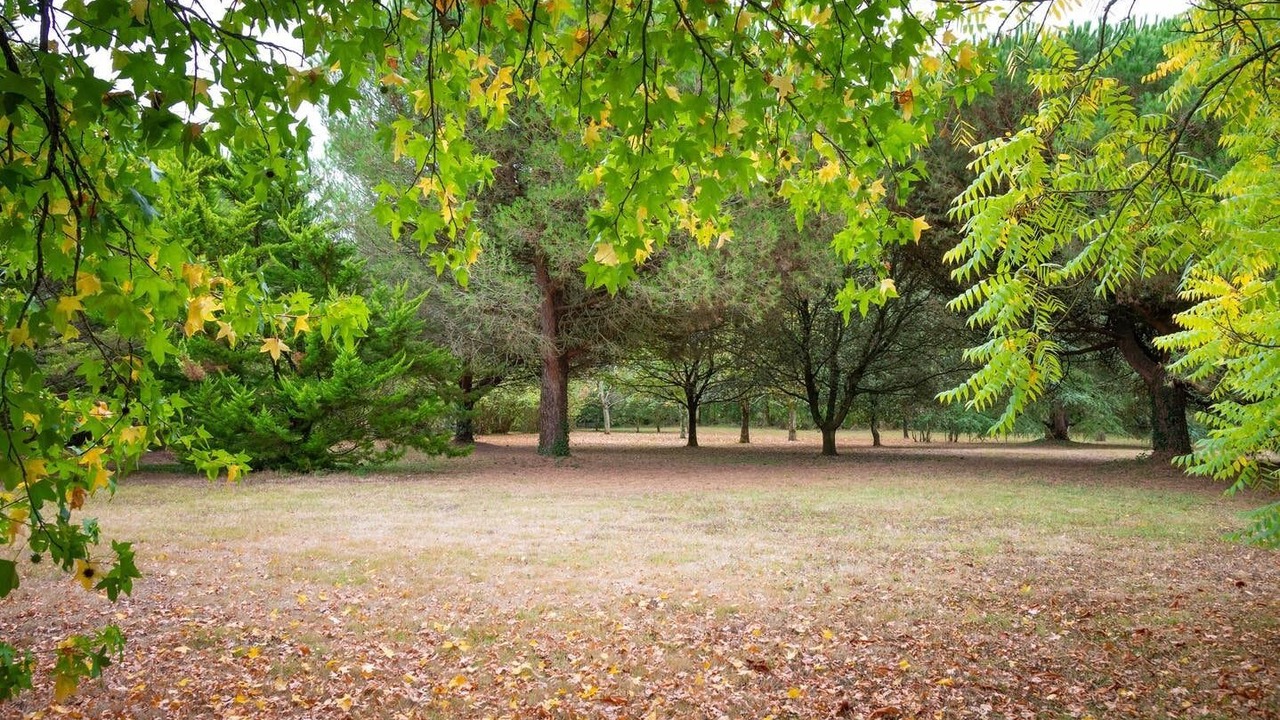Photo of Outdoor in Avrille
