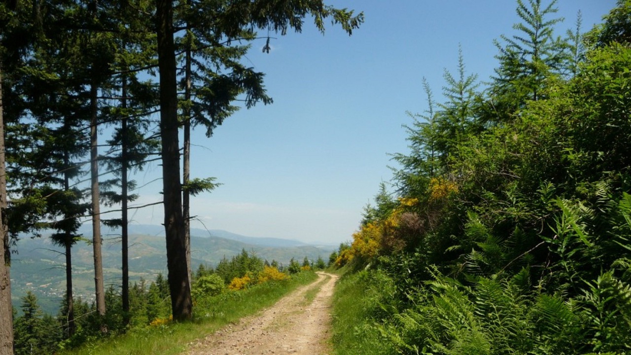 Photo of Outdoor in Vocance