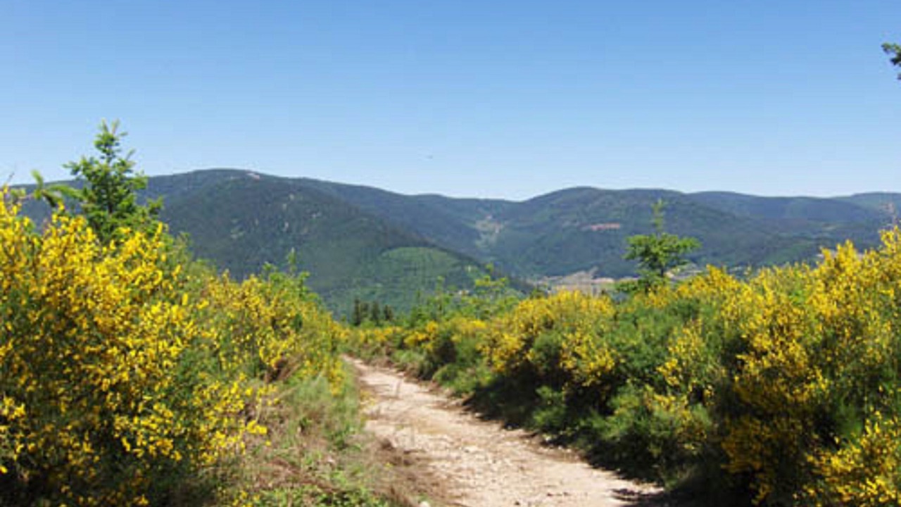 Photo of Outdoor in Vocance