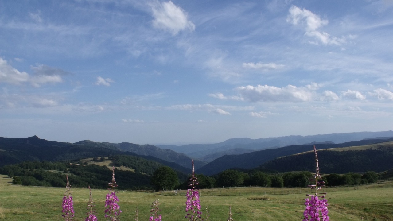 Photo of Outdoor in Vocance