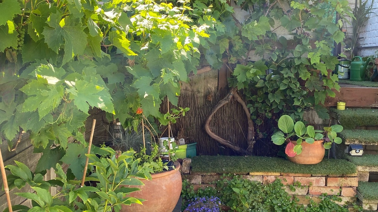 Photo of Outdoor in Walpole