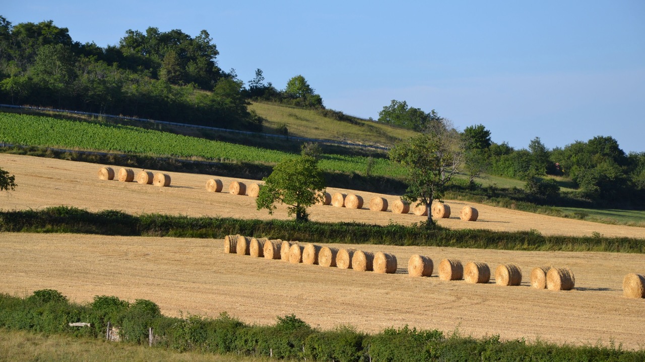 Photo of Outdoor in Saint-Ythaire