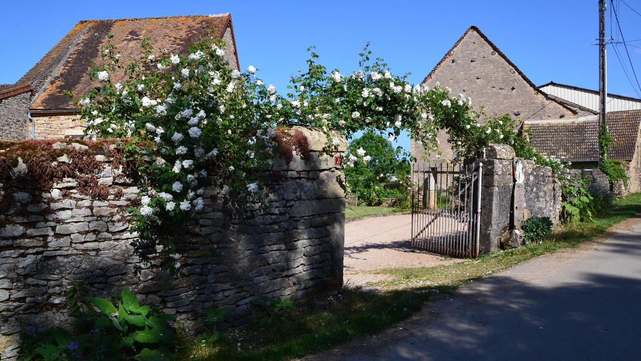 Photo of Outdoor in Saint-Ythaire