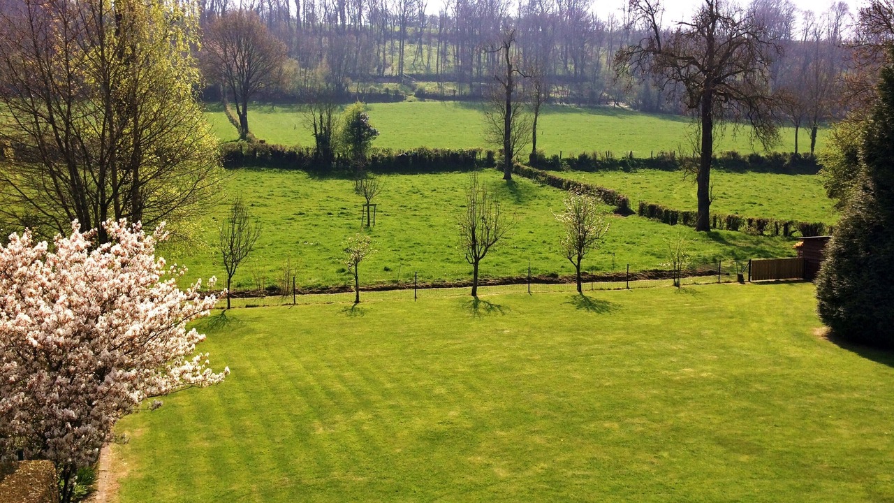 Photo of Outdoor in Saint-Michel-sous-Bois