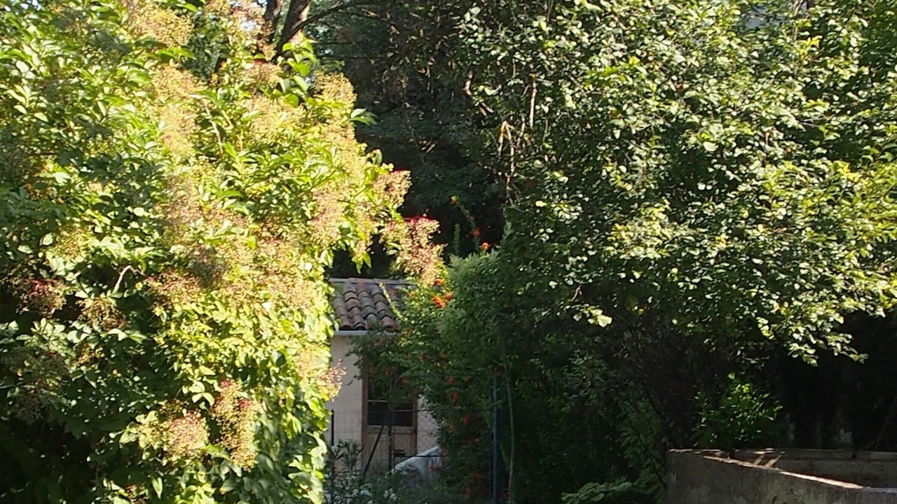 Photo of Outdoor in Sisteron