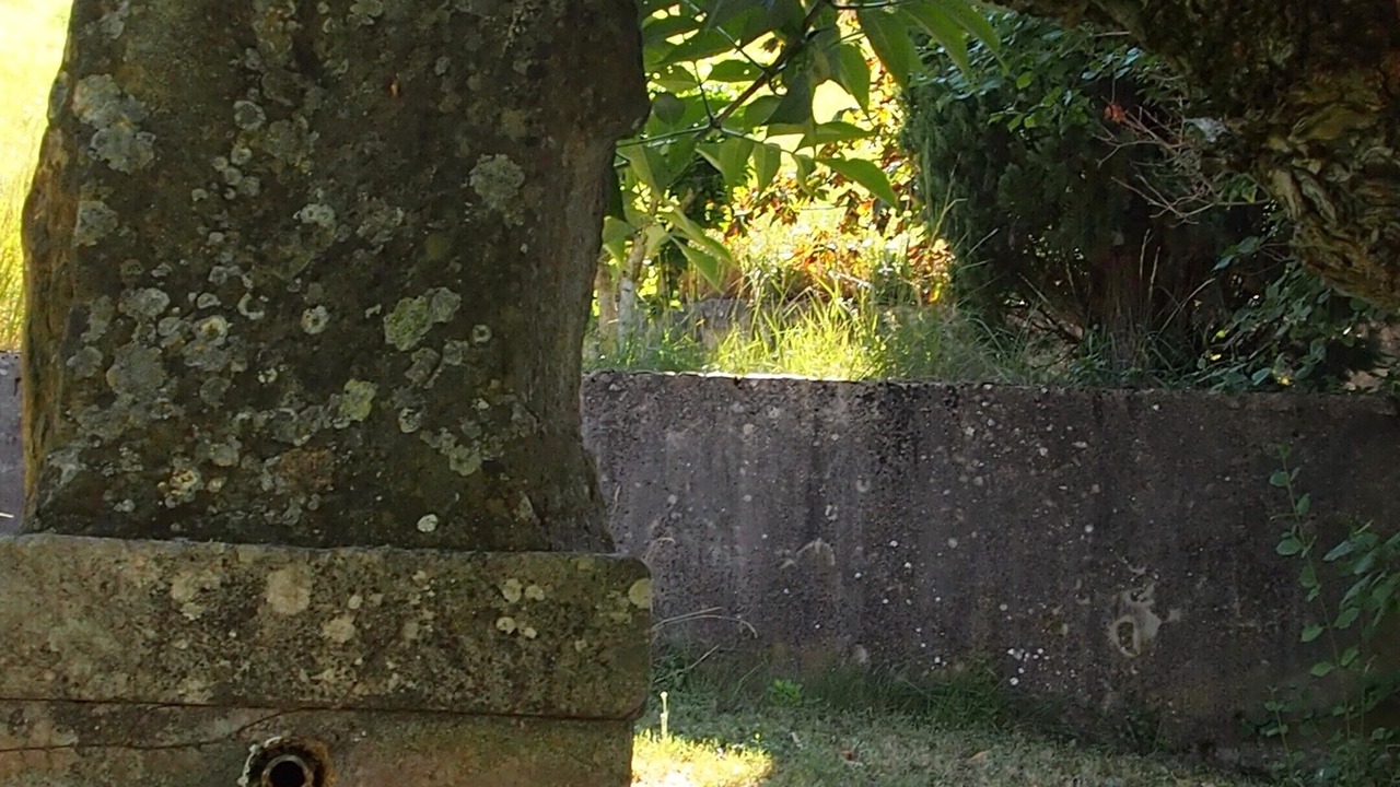 Photo of Outdoor in Sisteron