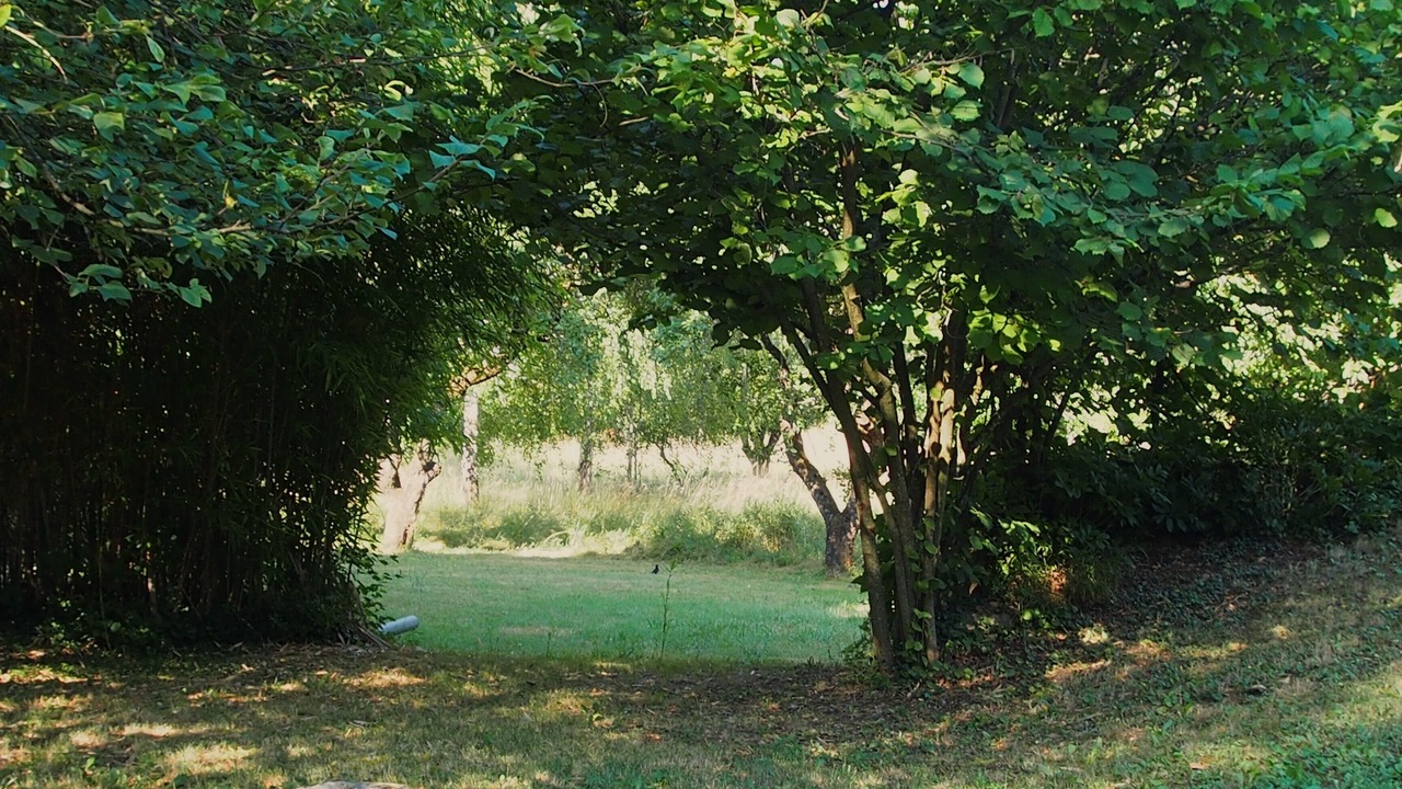 Photo of Outdoor in Sisteron