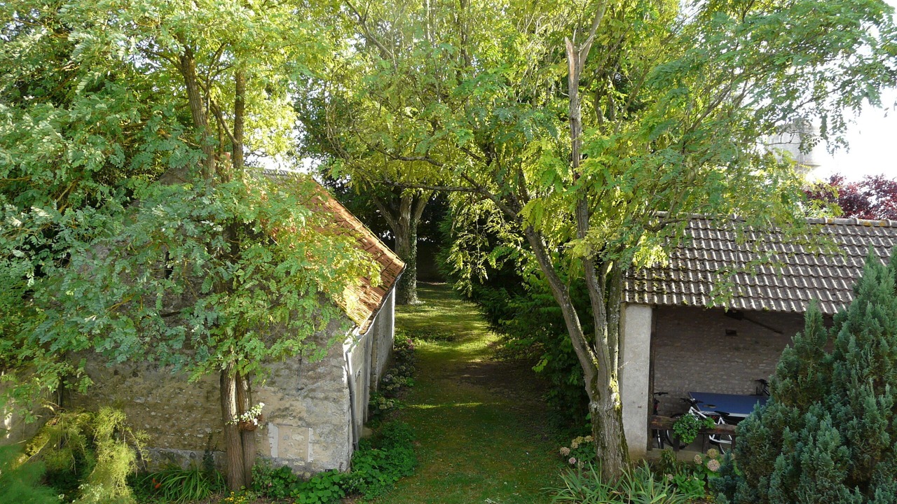 Photo of Outdoor in Ardelu