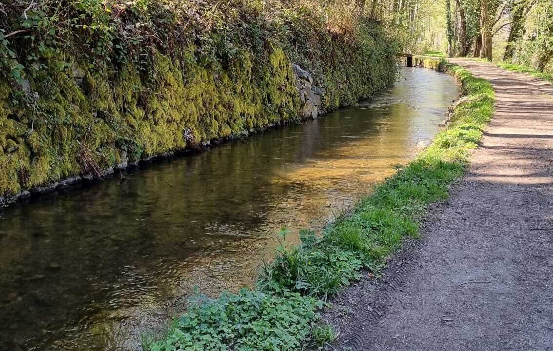 Photo of Outdoor in Natzwiller