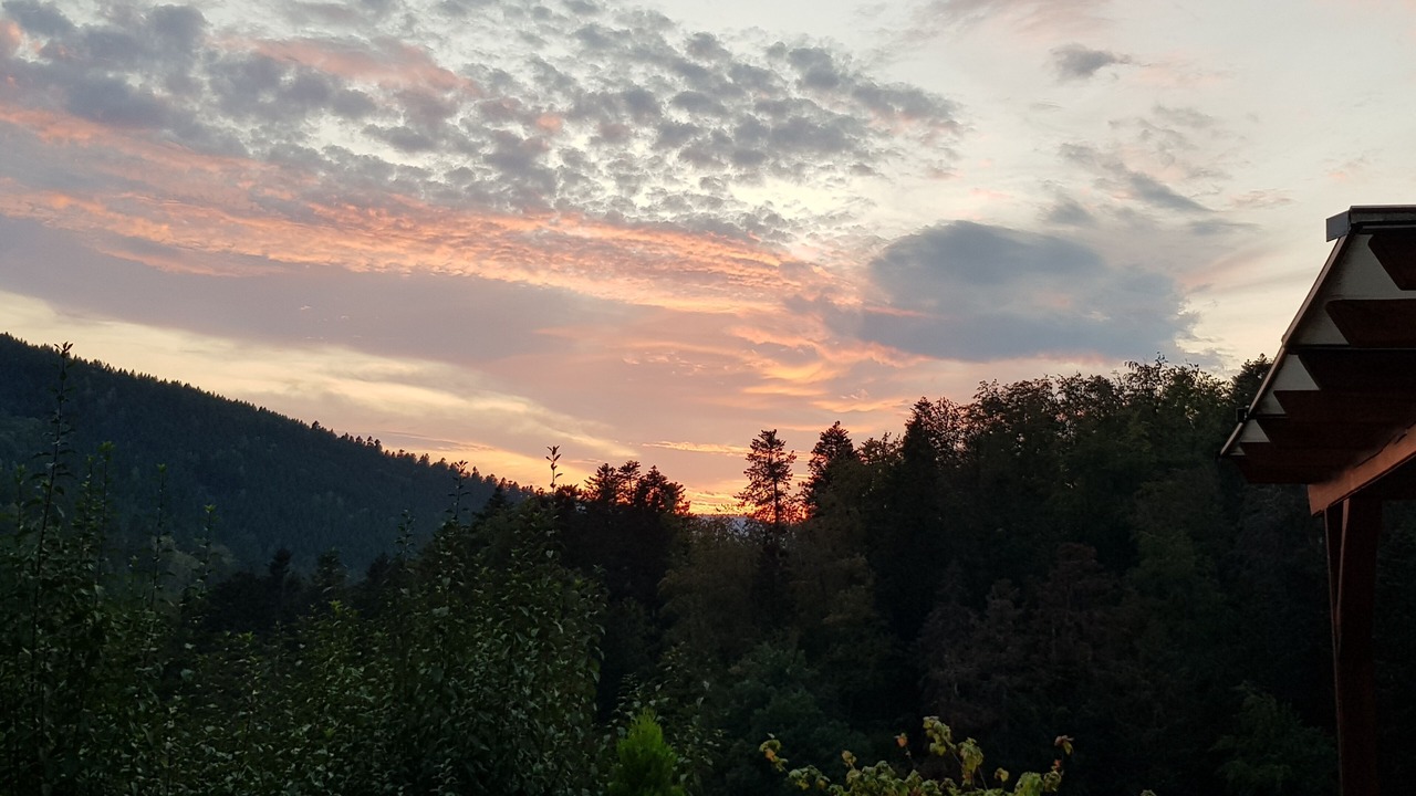 Photo of Outdoor in Natzwiller
