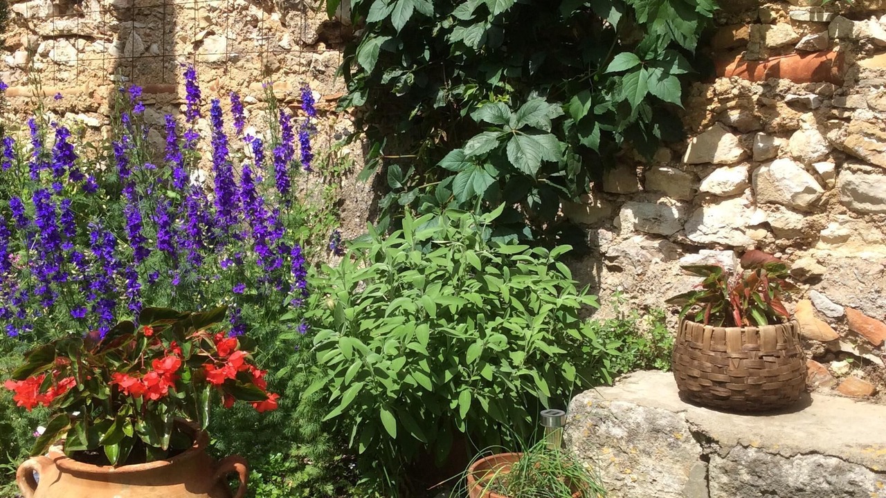 Photo of Outdoor in Montpeyroux