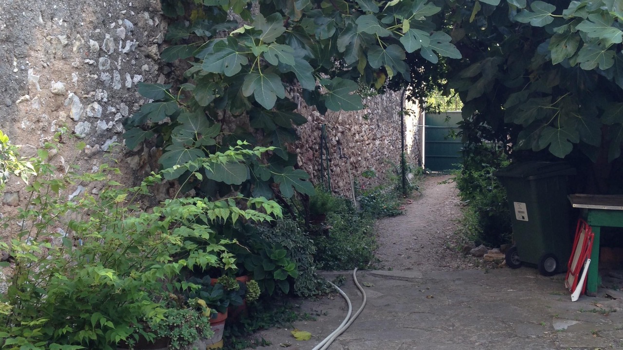 Photo of Outdoor in Montpeyroux