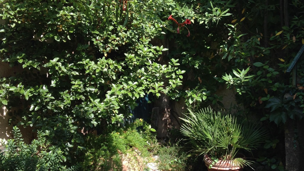 Photo of Outdoor in Montpeyroux