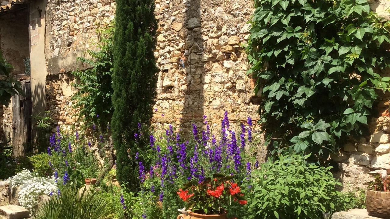 Photo of Outdoor in Montpeyroux