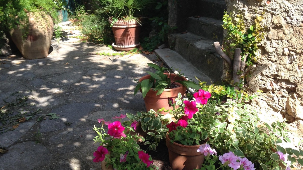 Photo of Outdoor in Montpeyroux