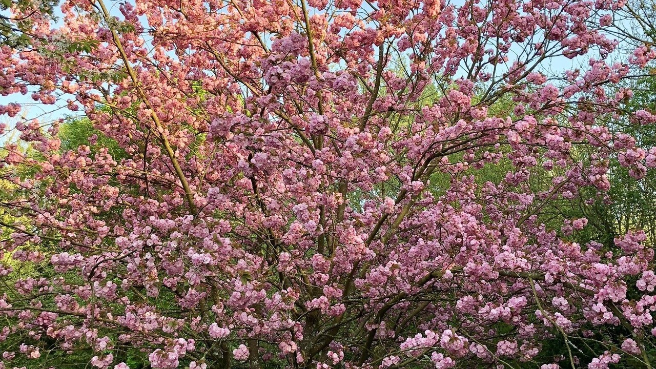 Photo of Outdoor in Parnes