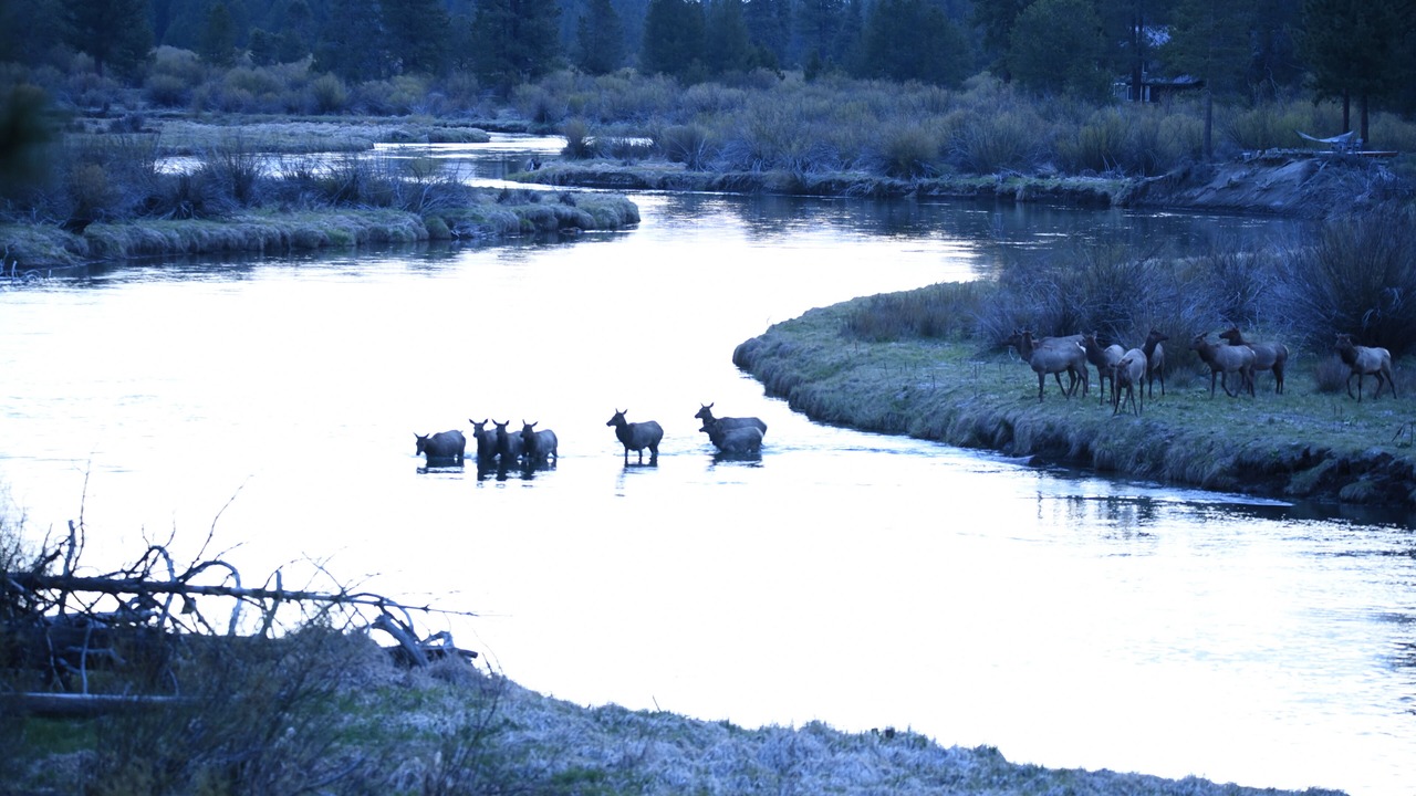 Photo of Others in Sunriver