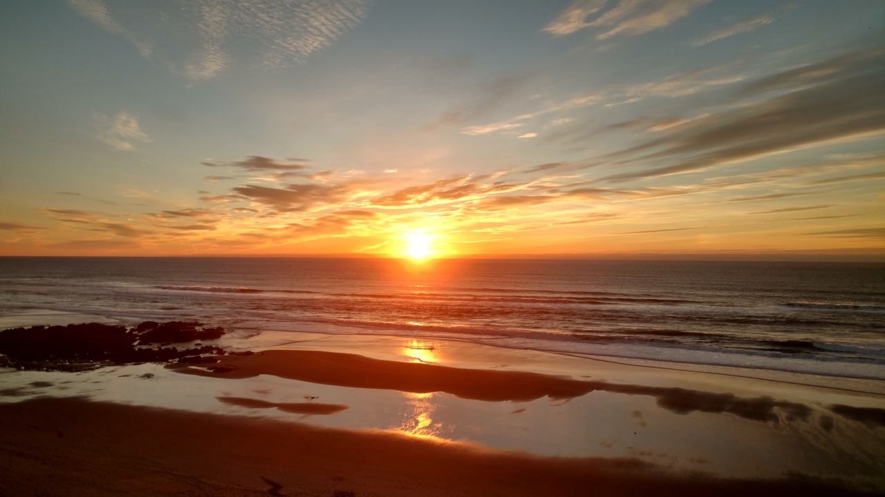 Photo of Others in Lincoln City