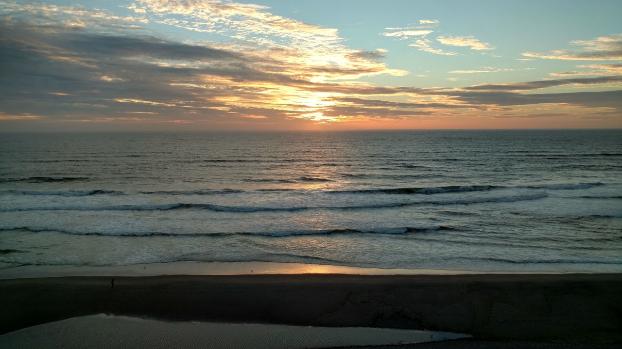 Photo of Others in Lincoln City
